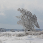 Fagne fagne_2010_43