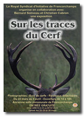 Cliquez ICI
